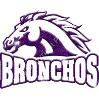 GLT32 PURPLE GLITTER Thumbnail